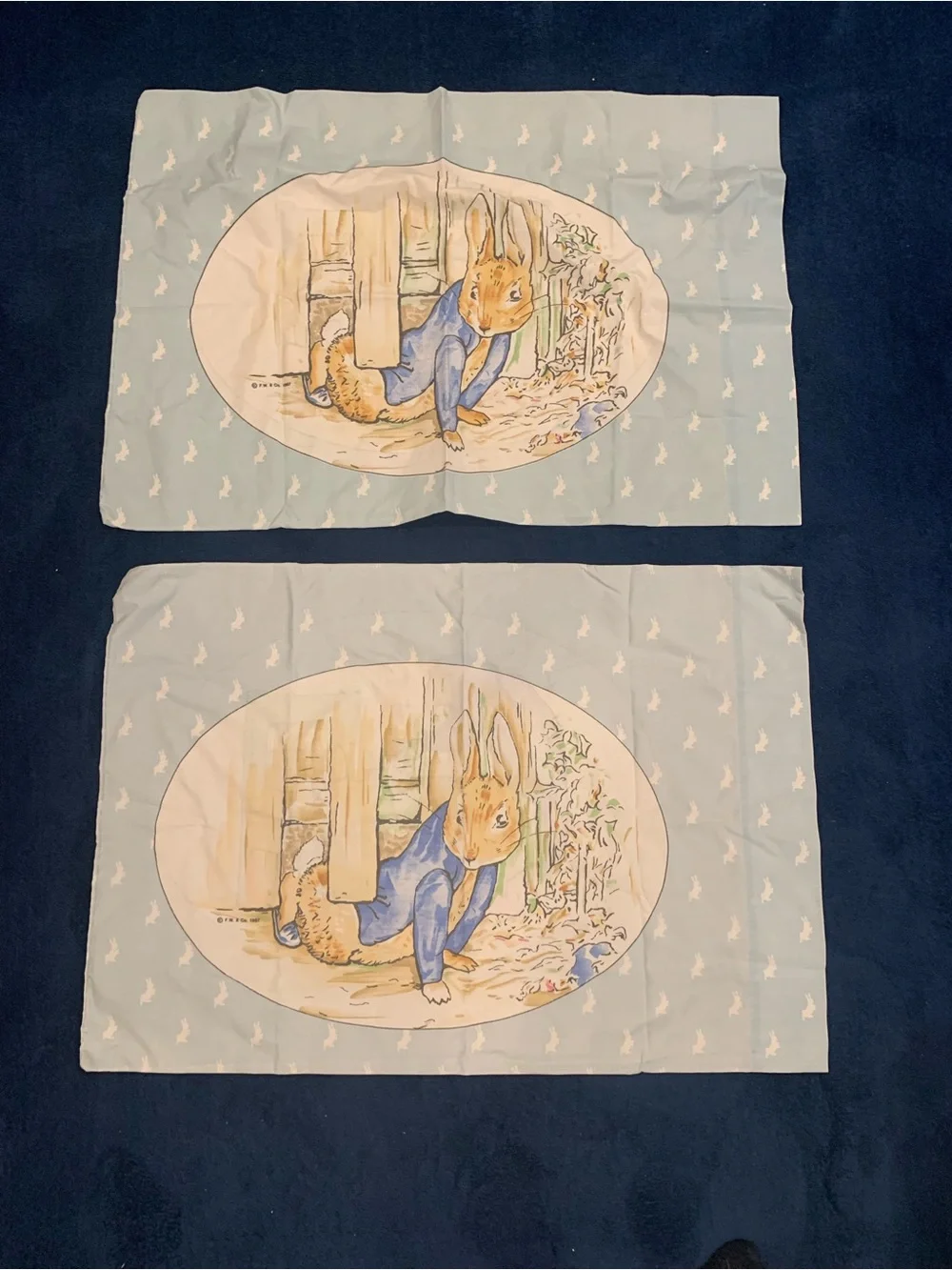 Vintage Beatrix Potter Size Twin Comforter and 4 pillowcases